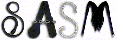 SAS/M Logo